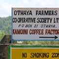 Kenya Nyeri Kamoini AA