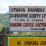 Kenya Nyeri Kamoini AA